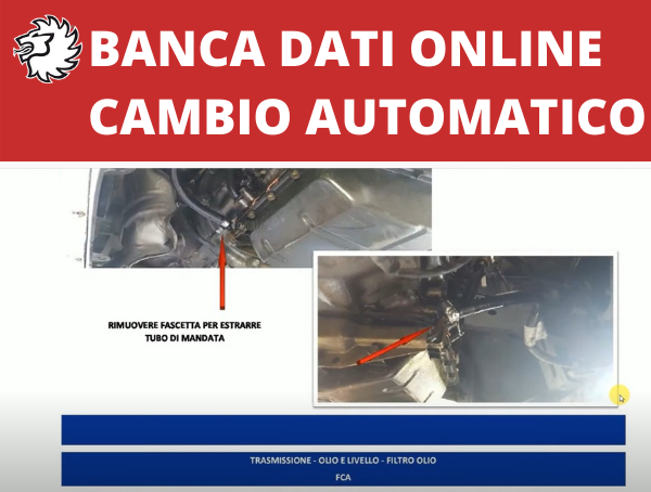 Banca Dati online cambio automatico