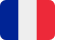 icona-bandiera francese