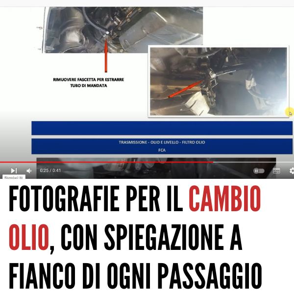 bancadati online trasmissioni automatiche per officina